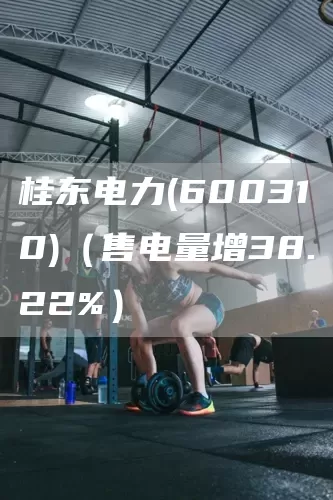 桂东电力(600310)（售电量增38.22%）(图1)