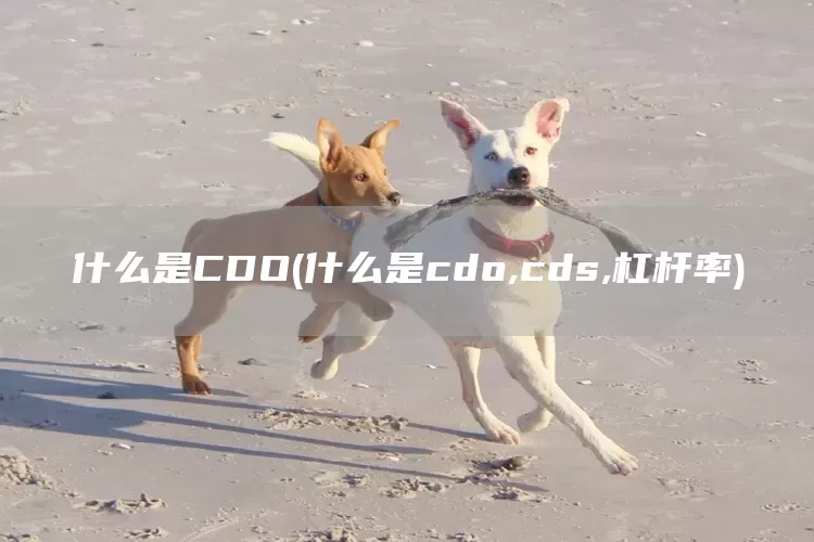 什么是CDO(什么是cdo,cds,杠杆率)(图1)