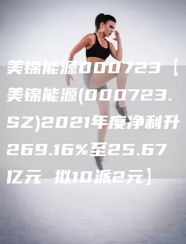 美锦能源000723【美锦能源(000723.SZ)2021年度净利升269.16%至25.67亿元 拟10派2元】(图1)