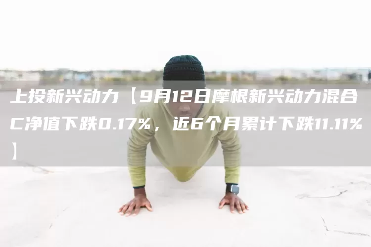 上投新兴动力【9月12日摩根新兴动力混合C净值下跌0.17%，近6个月累计下跌11.11%】(图1)