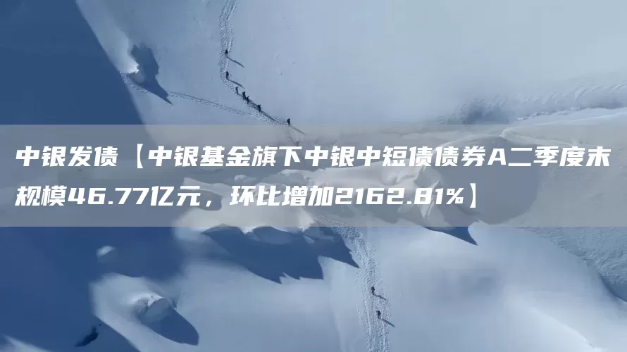 中银发债【中银基金旗下中银中短债债券A二季度末规模46.77亿元，环比增加2162.81%】(图1)