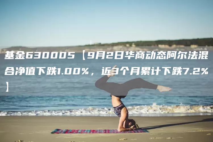 基金630005【9月2日华商动态阿尔法混合净值下跌1.00%，近3个月累计下跌7.2%】(图1)