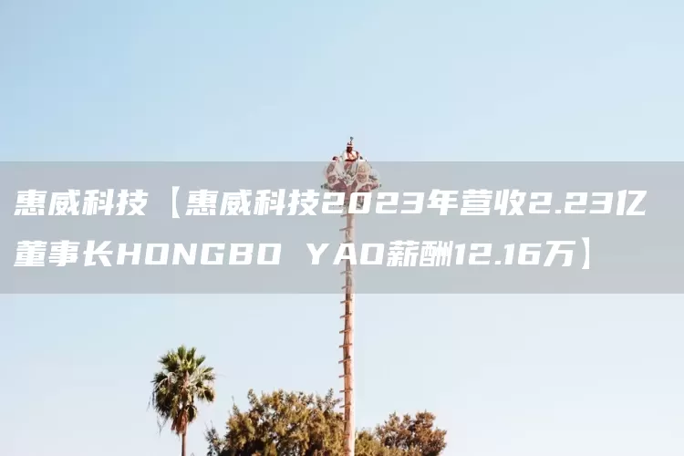 惠威科技【惠威科技2023年营收2.23亿 董事长HONGBO YAO薪酬12.16万】(图1)