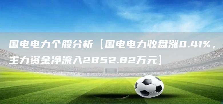 国电电力个股分析【国电电力收盘涨0.41%，主力资金净流入2852.82万元】(图1)