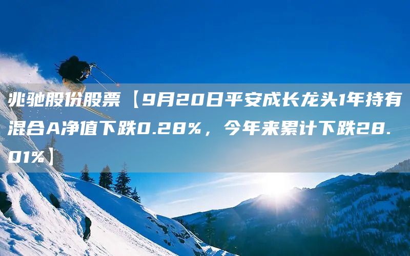 兆驰股份股票【9月20日平安成长龙头1年持有混合A净值下跌0.28%，今年来累计下跌28.01%】(图1)