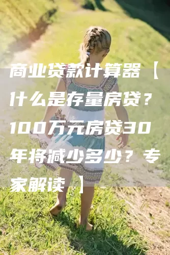 商业贷款计算器【什么是存量房贷？100万元房贷30年将减少多少？专家解读→】(图1)