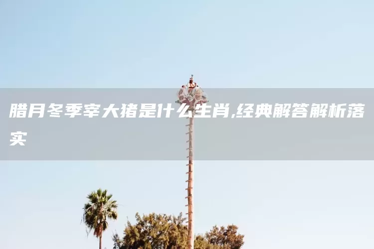腊月冬季宰大猪是什么生肖,经典解答解析落实(图1)