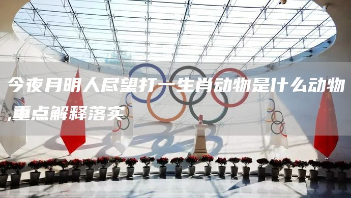 今夜月明人尽望打一生肖动物是什么动物,重点解释落实(图1)