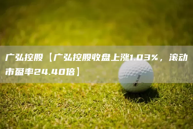 广弘控股【广弘控股收盘上涨1.03%，滚动市盈率24.40倍】(图1)