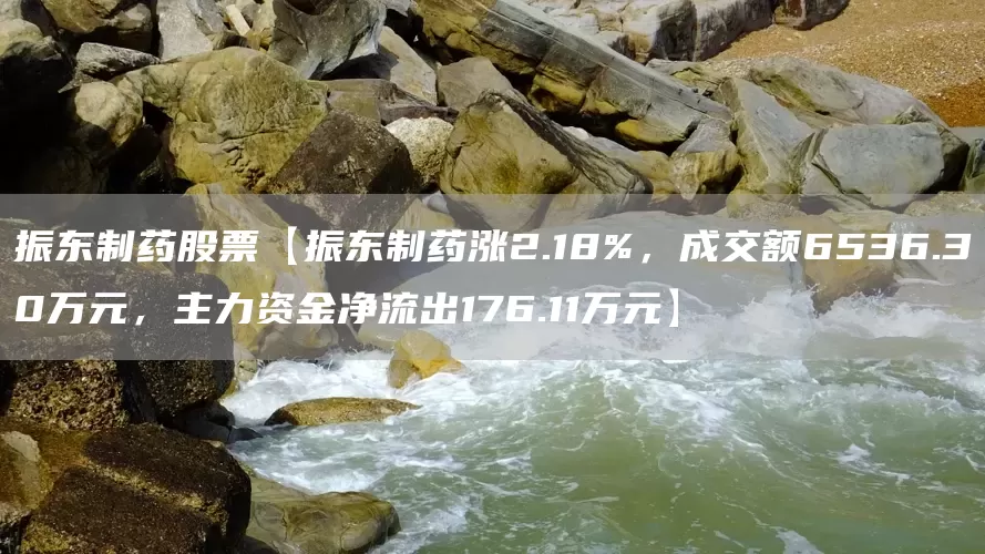 振东制药股票【振东制药涨2.18%，成交额6536.30万元，主力资金净流出176.11万元】(图1)