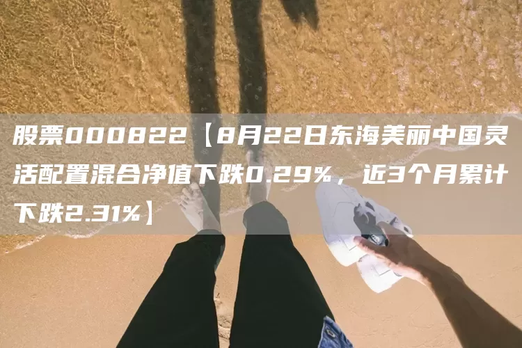 股票000822【8月22日东海美丽中国灵活配置混合净值下跌0.29%，近3个月累计下跌2.31%】(图1)