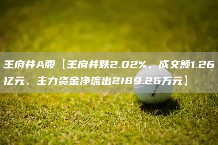 王府井A股【王府井跌2.02%，成交额1.26亿元，主力资金净流出2189.26万元】(图1)