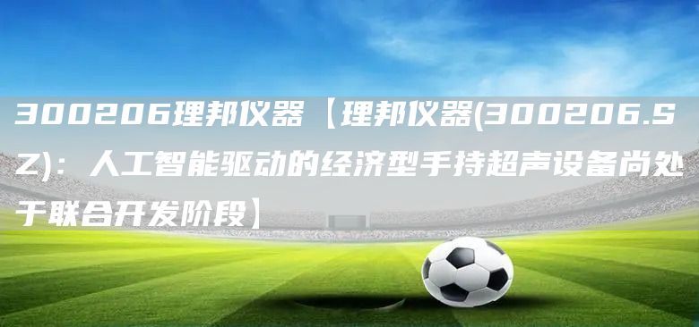 300206理邦仪器【理邦仪器(300206.SZ)：人工智能驱动的经济型手持超声设备尚处于联合开发阶段】(图1)