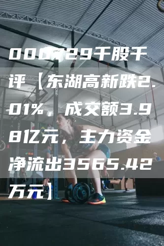 000729千股千评【东湖高新跌2.01%，成交额3.98亿元，主力资金净流出3565.42万元】(图1)