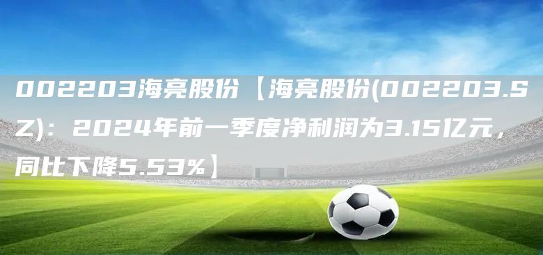 002203海亮股份【海亮股份(002203.SZ)：2024年前一季度净利润为3.15亿元，同比下降5.53%】(图1)