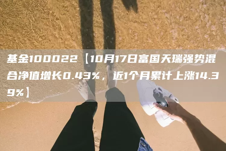 基金100022【10月17日富国天瑞强势混合净值增长0.43%，近1个月累计上涨14.39%】(图1)