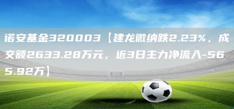 诺安基金320003【建龙微纳跌2.23%，成交额2633.28万元，近3日主力净流入-565.92万】(图1)