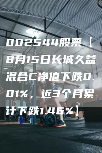 002544股票【8月15日长城久益混合C净值下跌0.01%，近3个月累计下跌1.46%】(图1)