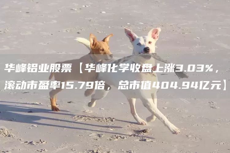 华峰铝业股票【华峰化学收盘上涨3.03%，滚动市盈率15.79倍，总市值404.94亿元】(图1)