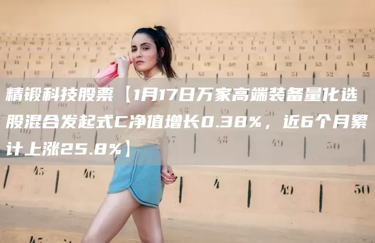 精锻科技股票【1月17日万家高端装备量化选股混合发起式C净值增长0.38%，近6个月累计上涨25.8%】(图1)