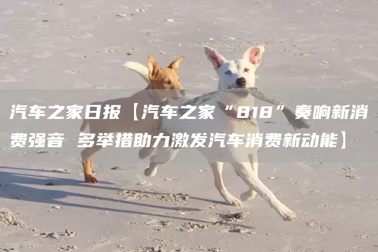 汽车之家日报【汽车之家“818”奏响新消费强音 多举措助力激发汽车消费新动能】(图1)