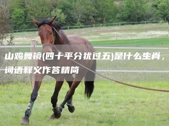 山鸡舞镜(四十平分犹过五)是什么生肖，词语释义作答精简(图1)