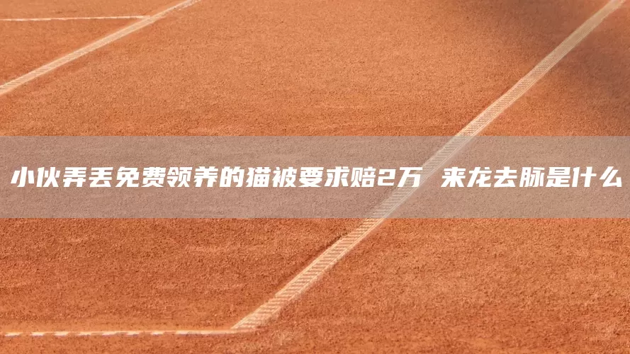小伙弄丢免费领养的猫被要求赔2万 来龙去脉是什么(图1)