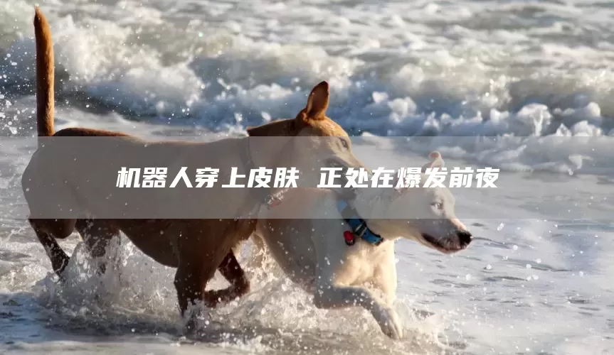 机器人穿上皮肤 正处在爆发前夜(图1)
