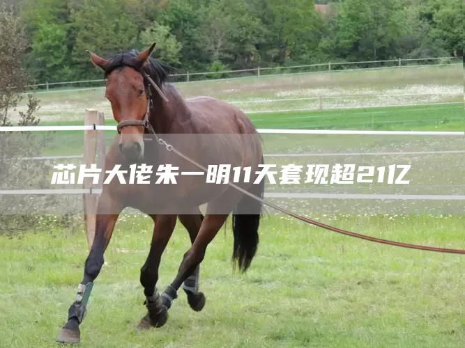 芯片大佬朱一明11天套现超21亿(图1)