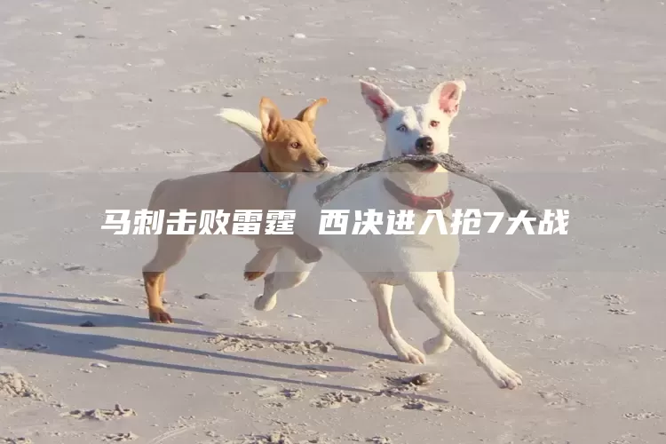 马刺击败雷霆 西决进入抢7大战(图1)