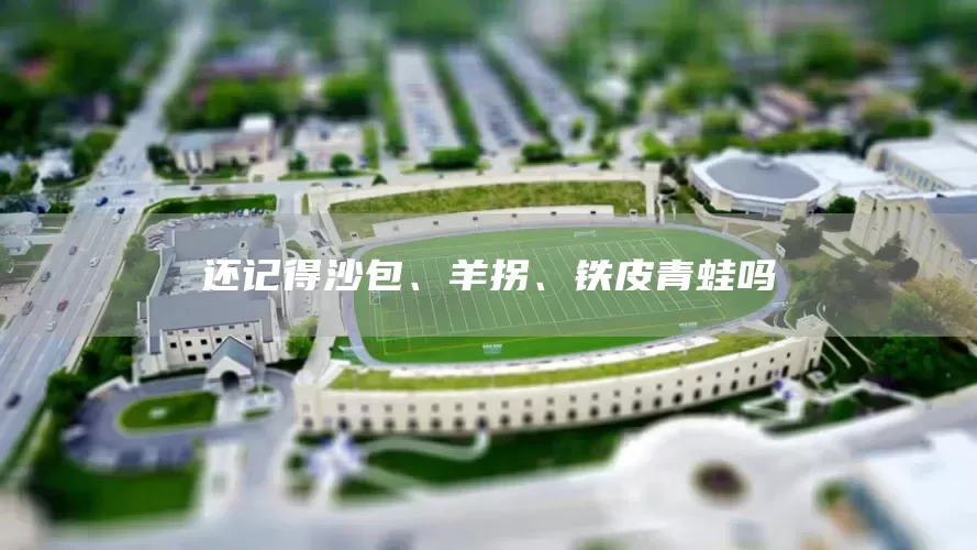 还记得沙包、羊拐、铁皮青蛙吗(图1) 还记得沙包、羊拐、铁皮青蛙吗(图1)
