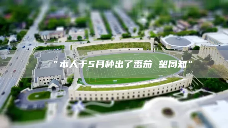 “本人于5月种出了番茄 望周知”(图1)