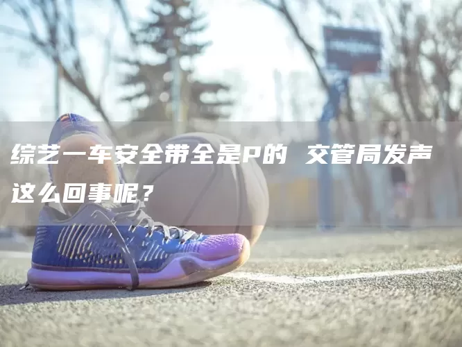 综艺一车安全带全是P的 交管局发声 这么回事呢？(图1)