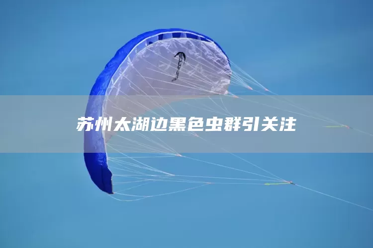 苏州太湖边黑色虫群引关注(图1)