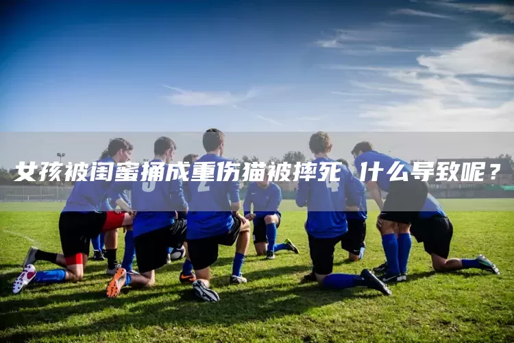 女孩被闺蜜捅成重伤猫被摔死 什么导致呢？(图1)