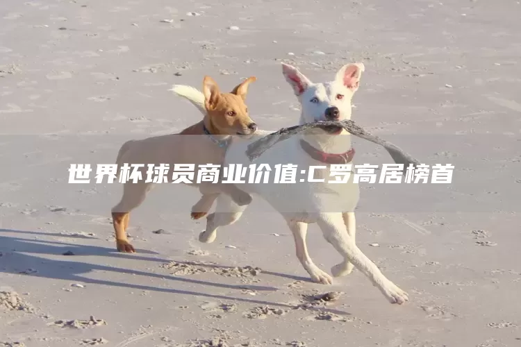世界杯球员商业价值:C罗高居榜首(图1)