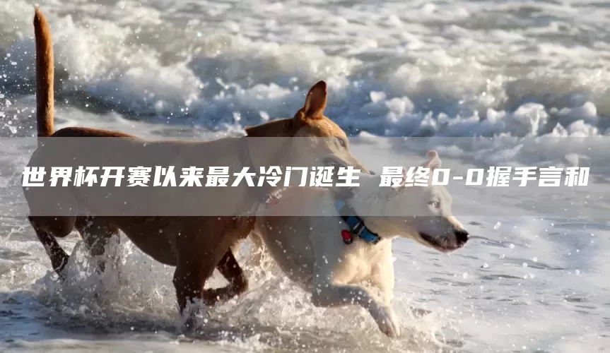 世界杯开赛以来最大冷门诞生 最终0-0握手言和(图1)