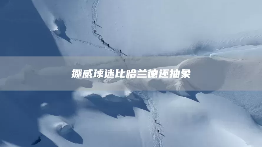 挪威球迷比哈兰德还抽象(图1) 挪威球迷比哈兰德还抽象(图1)