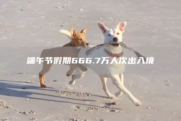 端午节假期666.7万人次出入境(图1)