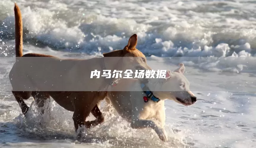 内马尔全场数据(图1)