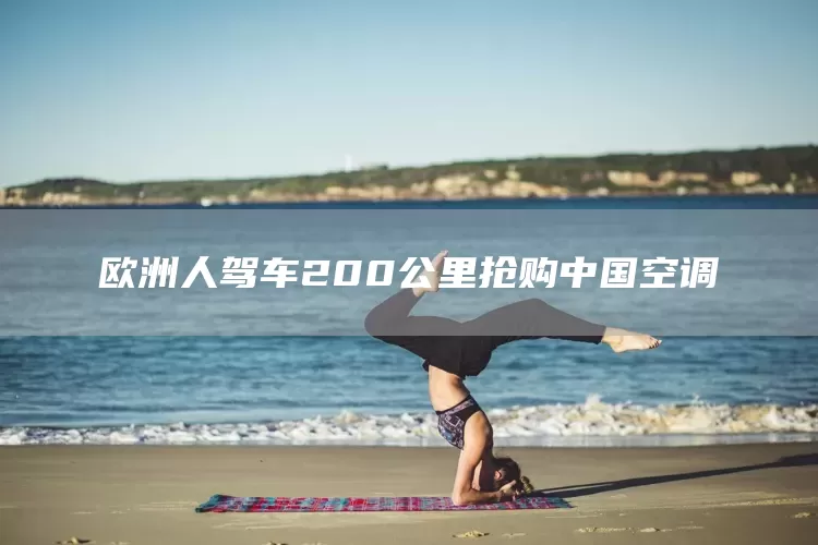 欧洲人驾车200公里抢购中国空调(图1)