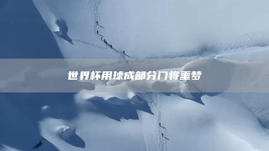 世界杯用球成部分门将噩梦(图1)