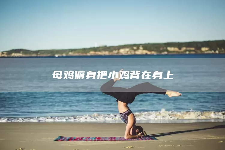 母鸡俯身把小鸡背在身上(图1)