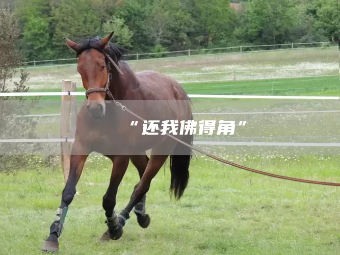 “还我佛得角”(图1)