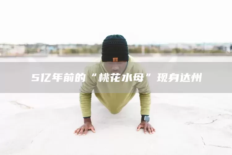 5亿年前的“桃花水母”现身达州(图1) 5亿年前的“桃花水母”现身达州(图1)