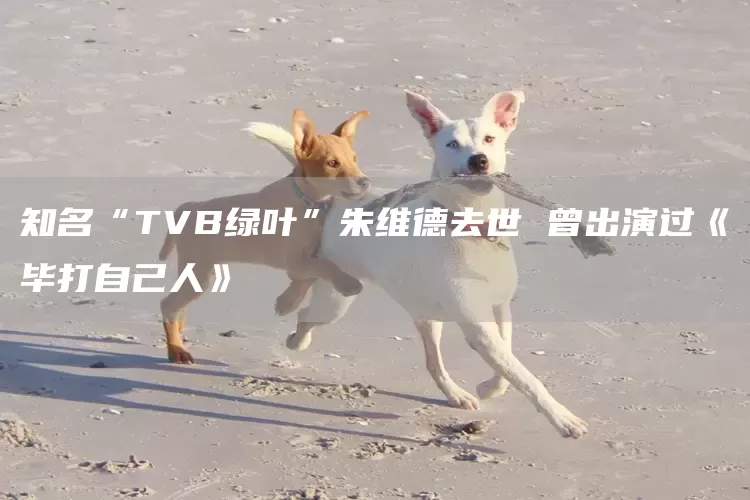 知名“TVB绿叶”朱维德去世 曾出演过《毕打自己人》(图1)