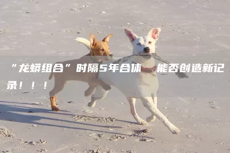 “龙蟒组合”时隔5年合体  能否创造新记录！！！(图1)