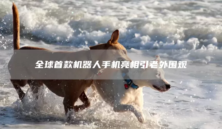 全球首款机器人手机亮相引老外围观(图1)