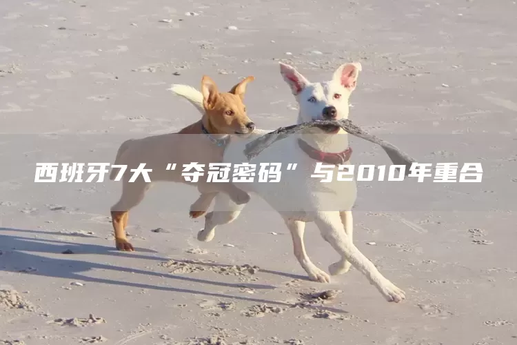 西班牙7大“夺冠密码”与2010年重合(图1) 西班牙7大“夺冠密码”与2010年重合(图1)