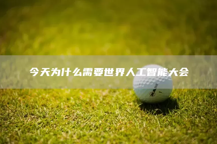 今天为什么需要世界人工智能大会(图1) 今天为什么需要世界人工智能大会(图1)